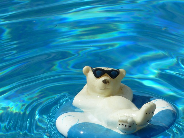 white bear in pool