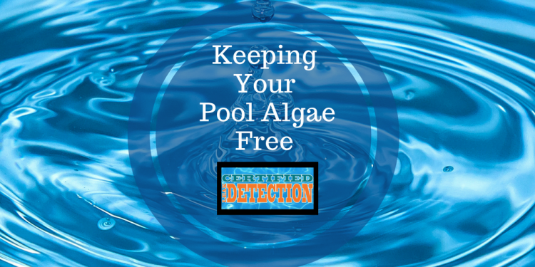 How to Remove Pool Algae, What Causes Pool Algae, Orlando Water Leak Detection, Orlando Swimming Pool Company, Water Leak Detection