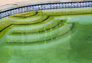 How to Remove Pool Algae, What Causes Pool Algae, Orlando Water Leak Detection, Orlando Swimming Pool Company, Water Leak Detection