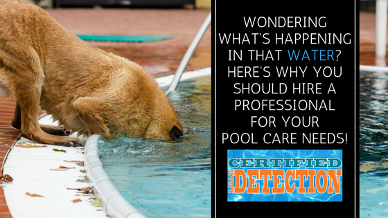 Orlando Water Leak Detection, orlando Water Leaks, Florida Water leaks, How to care for your swimming pool 