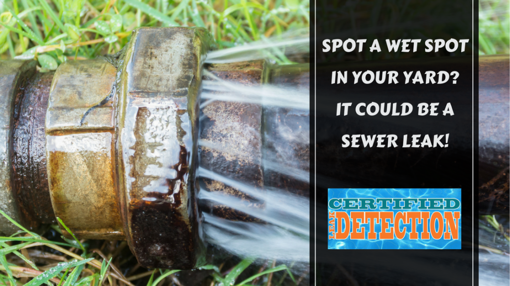 Wet spot in your yard could be a sewer leak, Orlando plumbing