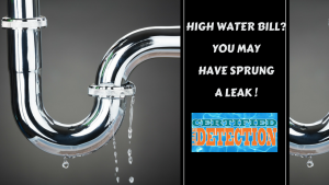 Why is my high water bill, High water bill causes, Orlando Water Leak Detection, home water leaks