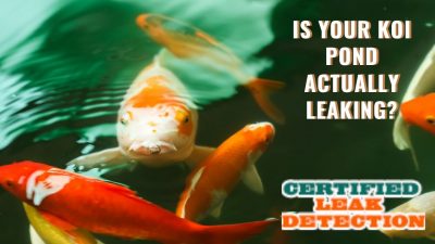 Is Your Koi Pond Actually Leaking? - Certified Leak Detection of Orlando