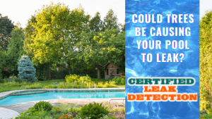 Could Trees Be Causing Your Pool to Leak